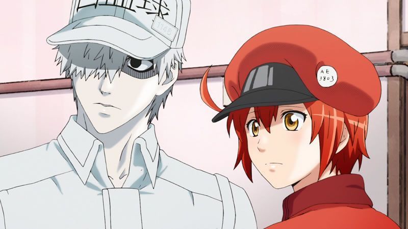 Cells at Work!!: se conocen más miembros del staff, fecha debut y las canciones