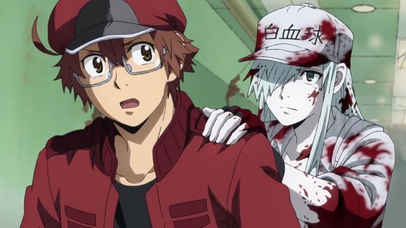 Hataraku Saibou Black: Cuando tu lugar de trabajo no es tan agradable